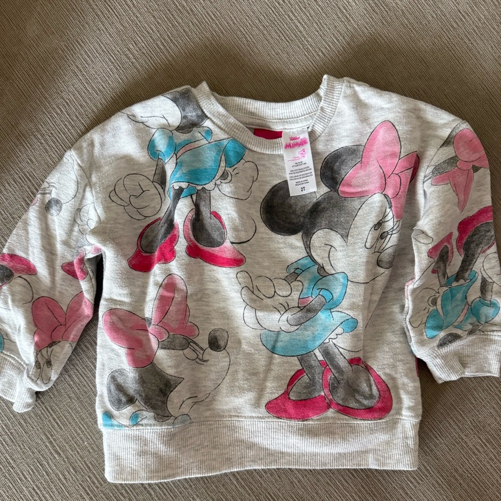 Minnie Mouse Sweater (2T)